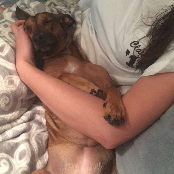 Meet your Posher, Emily - Picture 1 of 1